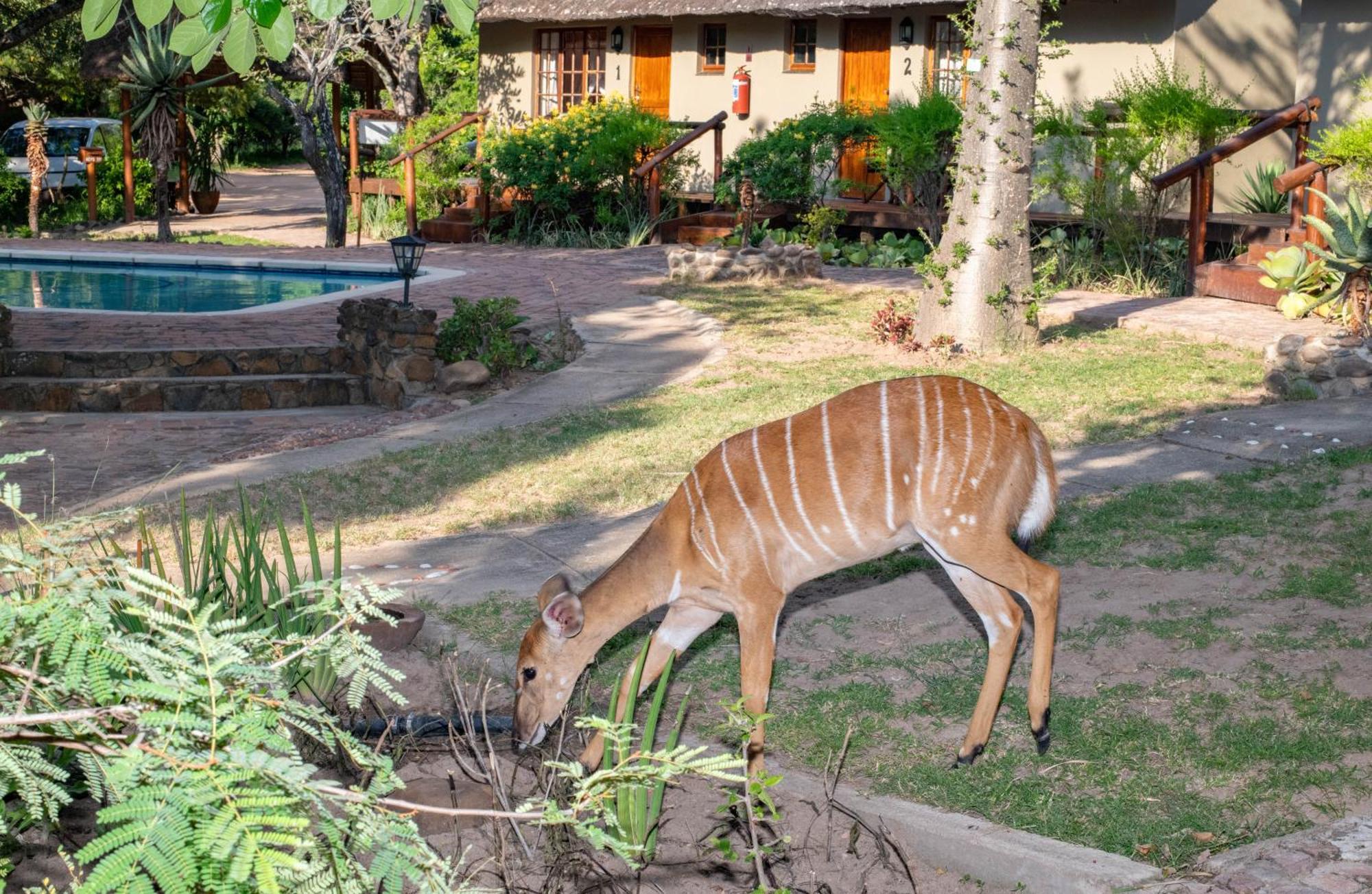 Thornhill Safari Lodge Guernsey Nature Reserve Exterior photo